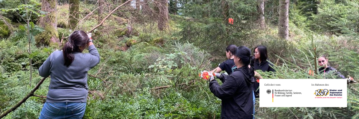 Protect Endangered Species in the Black Forest