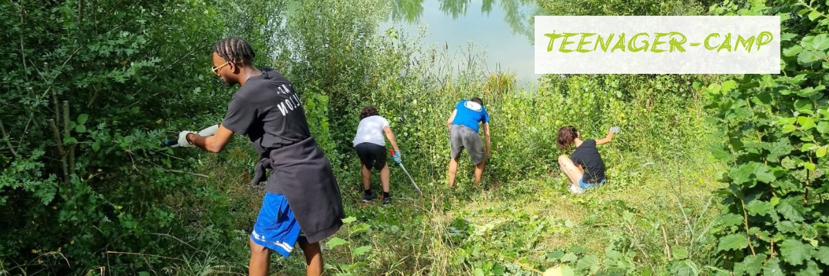 Park and Theater for Biodiversity (France)