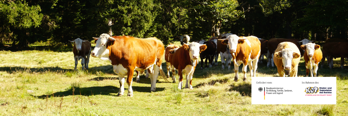 Schachtenpflege im Bayerischen Wald