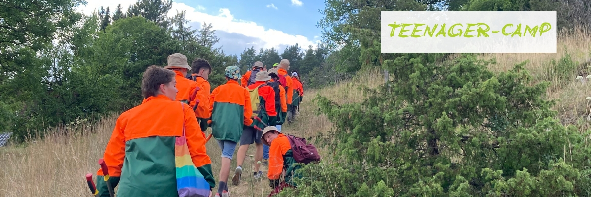 Youth Exchange in the Indelhausen Waldschulheim (Germany)