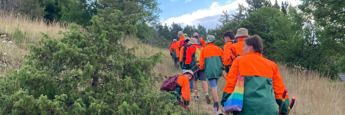 Waldschulheim Indelhausen - Jugendbegegnung