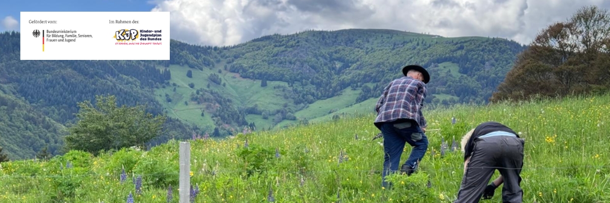 Black Forest Pastures – Neuenweg, Kleines Wiesental (Deutschland)