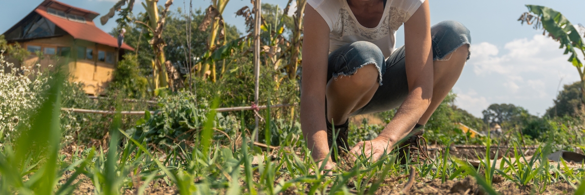 Perma Life Nepal (Nepal)