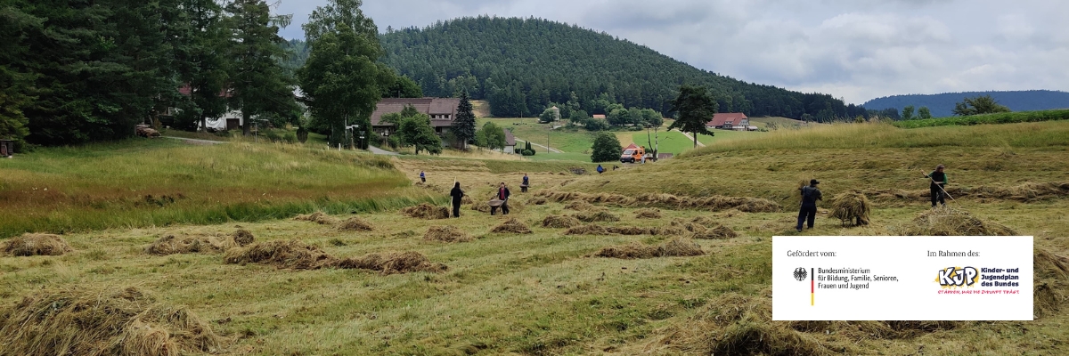 Keep the Glow of the Black Forest in Lauterbach!