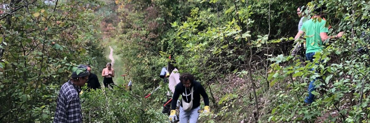 Schütze Artenvielfalt in Allerheiligen im Schwarzwald!