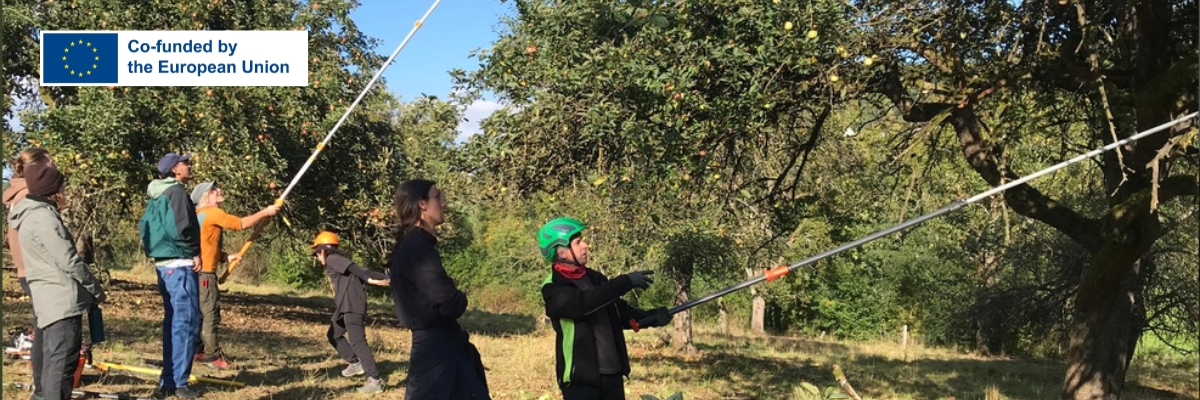 Fruit Trees & Camp Fire (Germany)