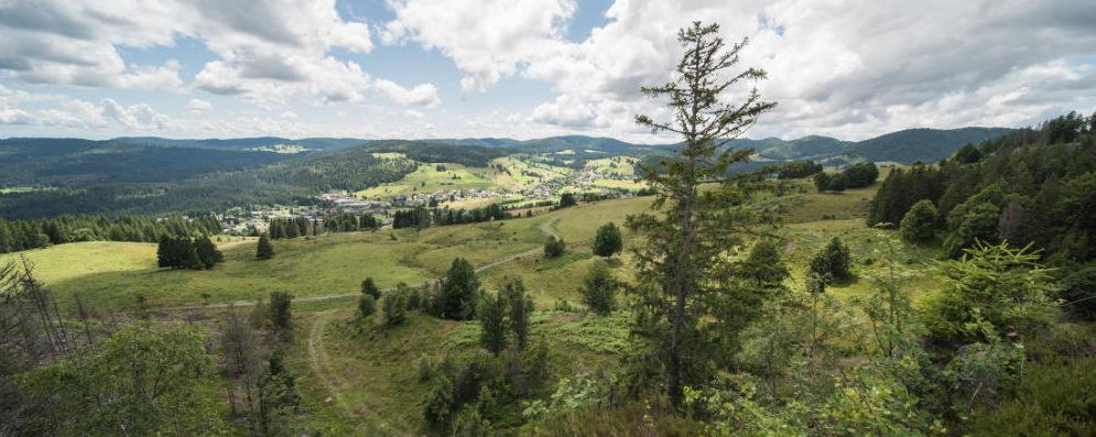 Bernau – Autumn in the mountains