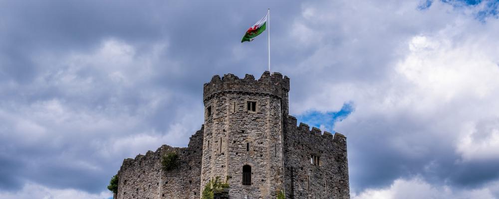 Zweiteiliger Freiwilligendienst in Wales & Deutschland (1,5 Monate)