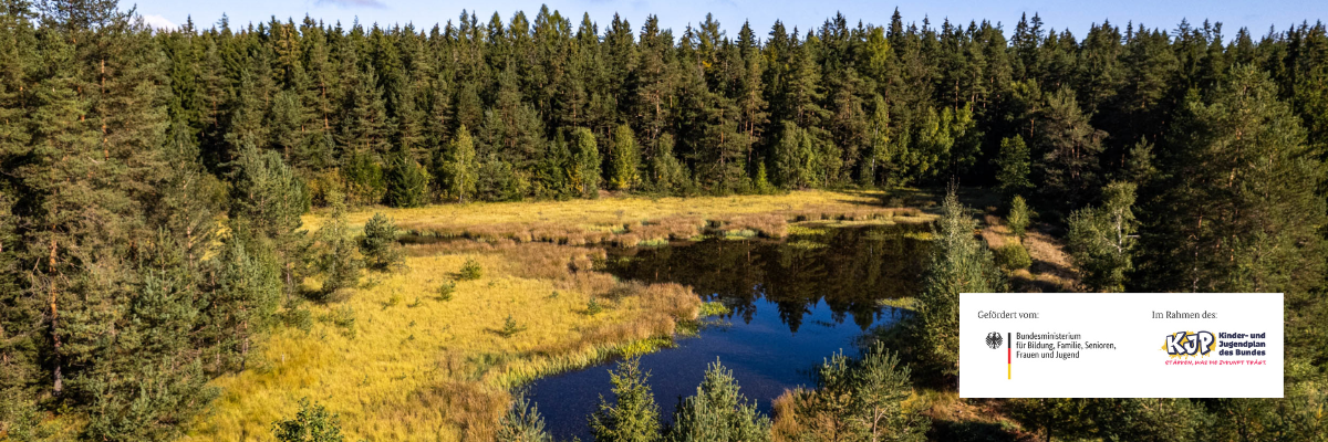 Black Forest Pastures – Neuenweg, Kleines Wiesental