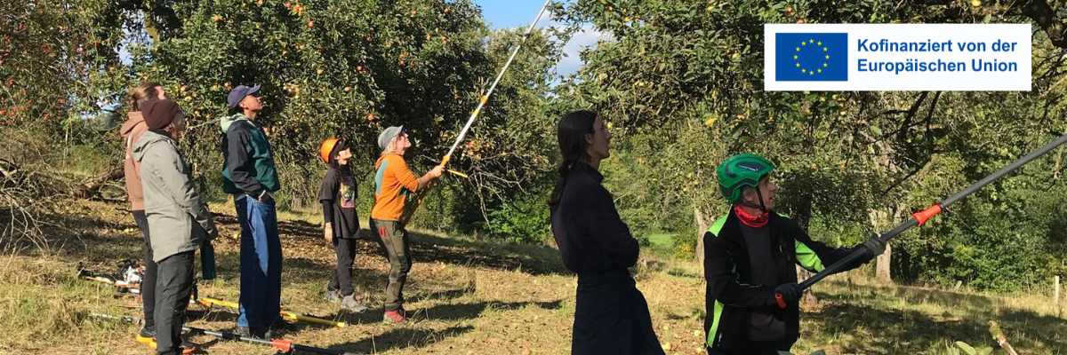 Fruit Trees & Camp Fire